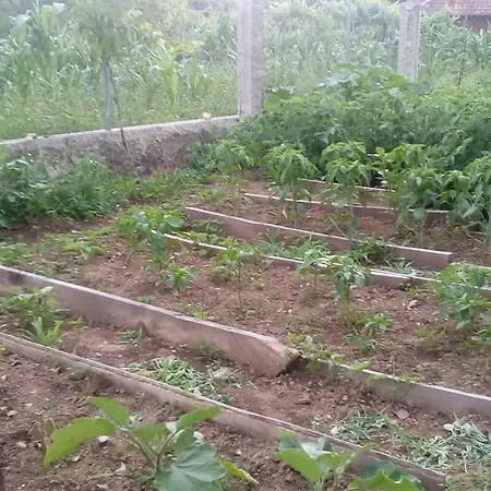 A Casina Da Mara