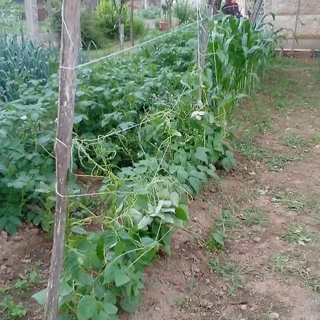 A Casina Da Mara *