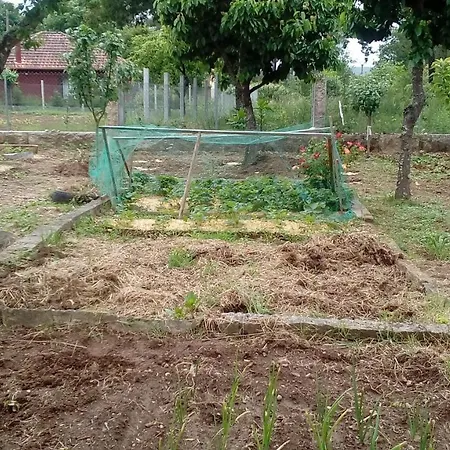 A Casina Da Mara