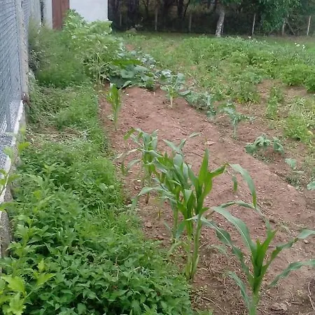 A Casina Da Mara *