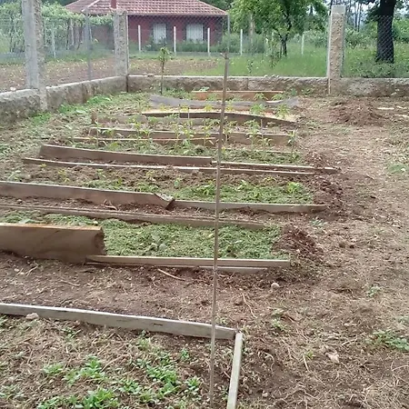 Hostel A Casina Da Mara *